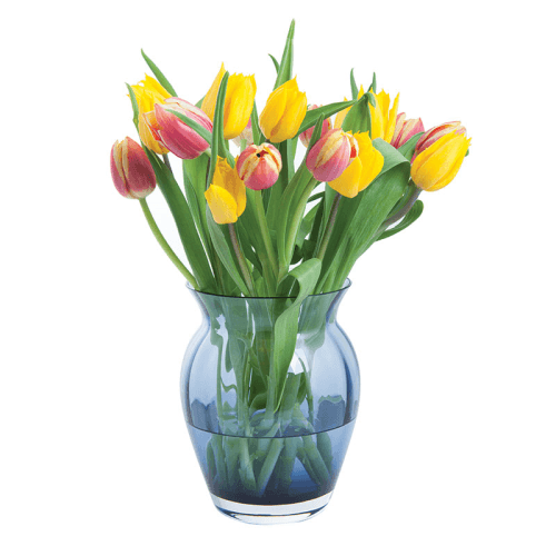 Image showing the Florabundance Tulip Vase, H18.5cm, Ink product.