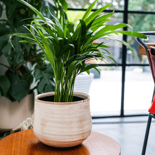 Image showing the Como Pot, D26cm, Ivory product.
