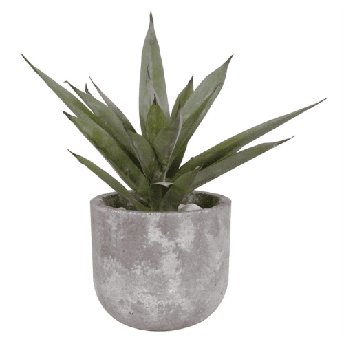 Image showing the Faux succulent, H38cm product.
