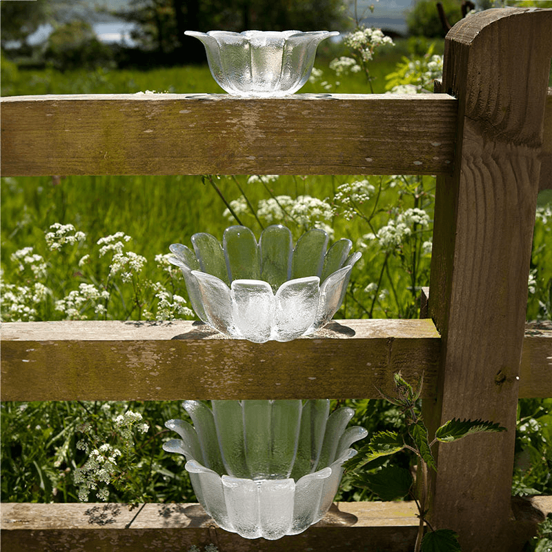 Daisy Set of 2 Dishes, D18cm, Clear
