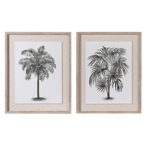 Image showing the Palm Set of 2 Framed Prints, 52 x 42cm, Green product.
