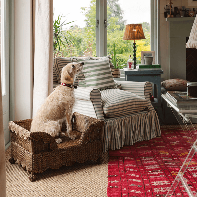 Ziggy Scalloped Rattan Dog Bed, Teak