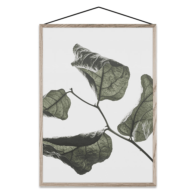 Floating Leaves 03 - A3 FSC Print, 42 x 30cm