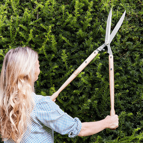 Image showing the Hedge Shear, Stainless Steel product.