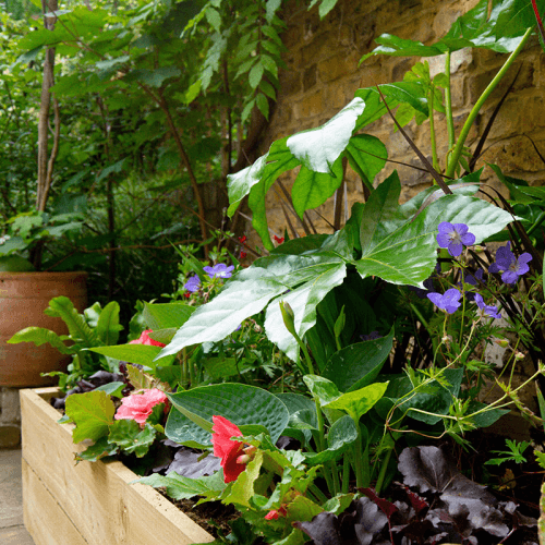 Image showing the £150 Dig Club Voucher product.