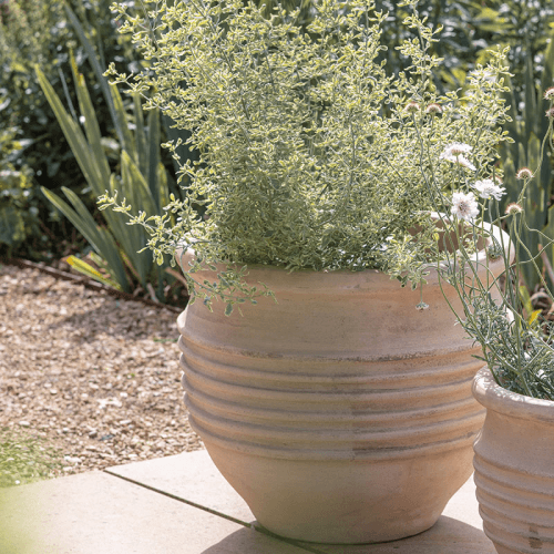Image showing the Ullu Planter, H36cm, Terracotta product.