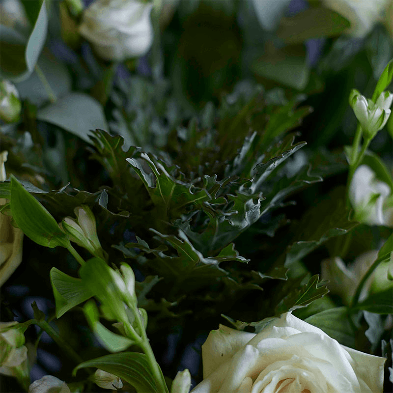 Classic 6 Month Flower Subscription and Bespoke Vase