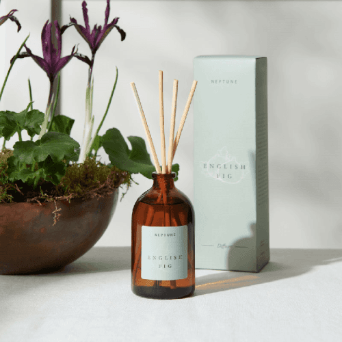 Image showing the English Fig Diffuser product.