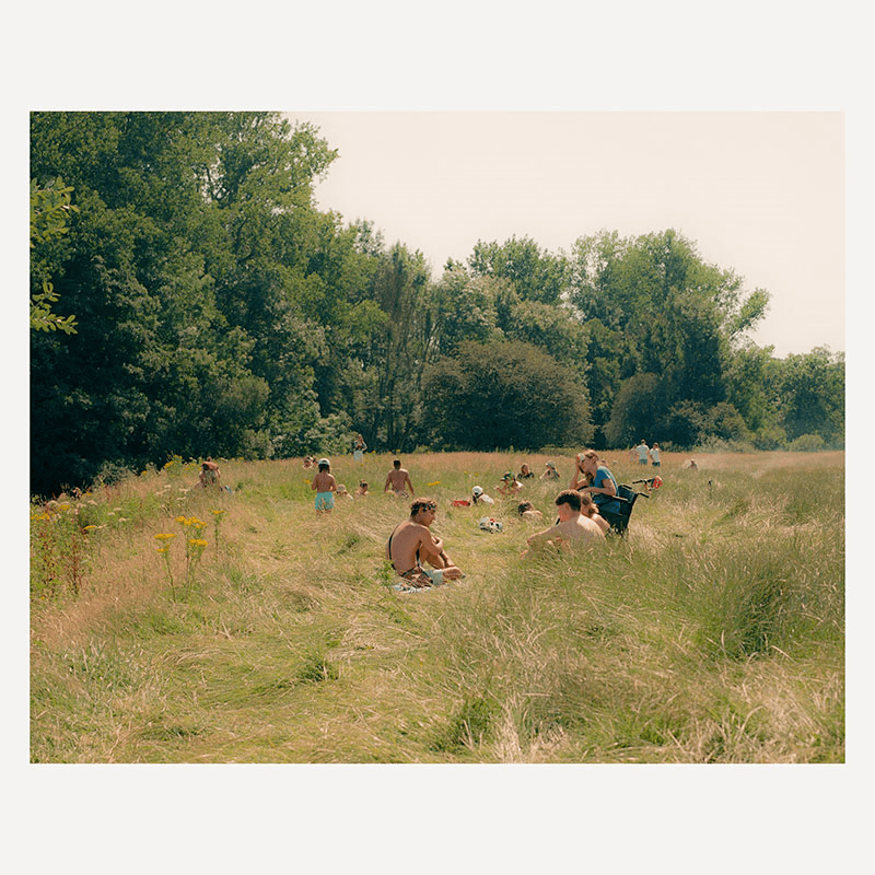 Rory Langdon-Down Heatwave Meadow Print, 40 x 33cm, Multi