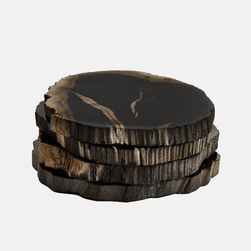 Image showing the Balfern Set of 4 Petrified Wood Coasters, D12cm, Black product.