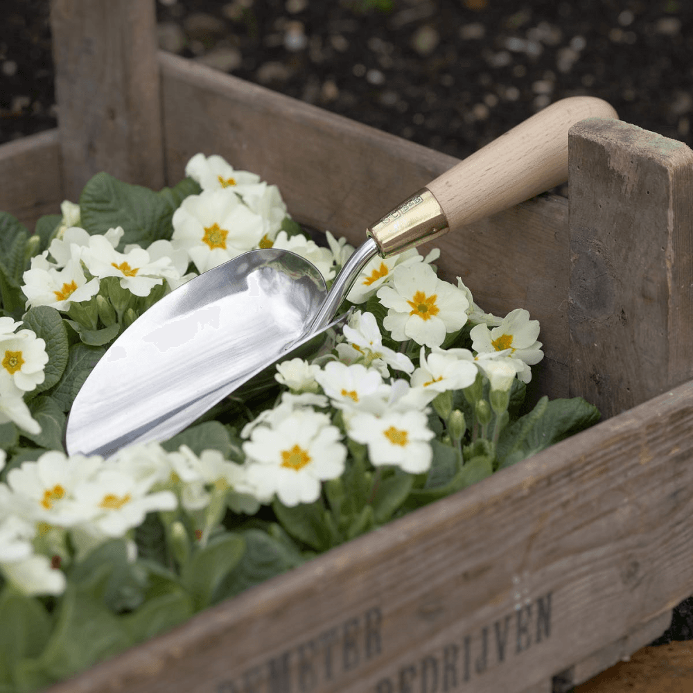 Boxed Trowel, Silver/Natural