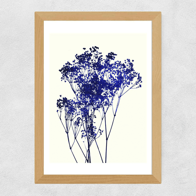 Garima Dhawan Baby's Breath A2 Framed Art Print, Blue/Cream