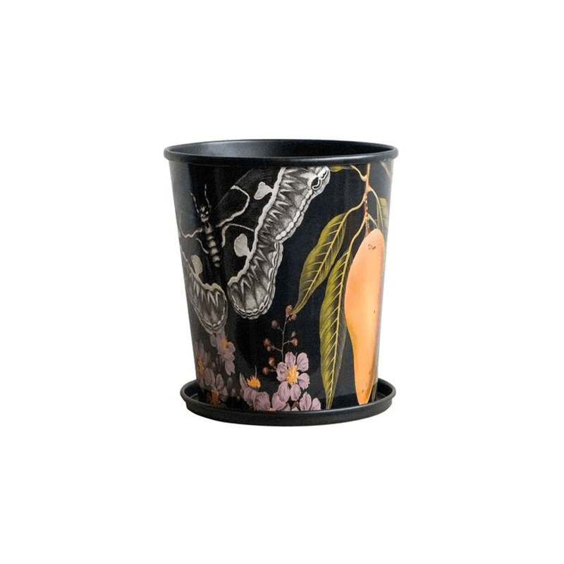 Kew Eclectic Orangery Planter With Saucer, D14cm, Black/Grey