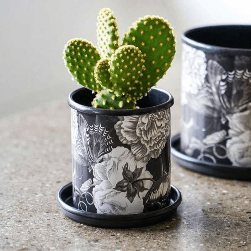 Kew Eclectic Orangery Noir Planter With Saucer, D13cm, Black/Grey