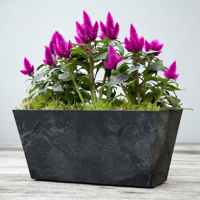 Ella Balcony trough, H17 x D37cm, Black