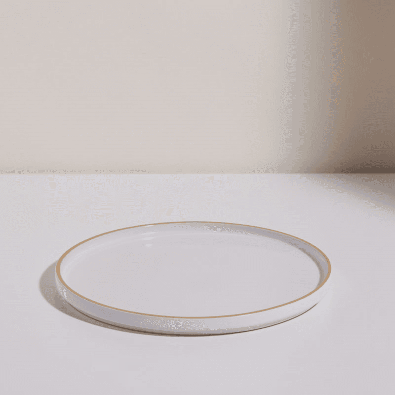 Set of 4 Dinner Plates, 27cm, Steam