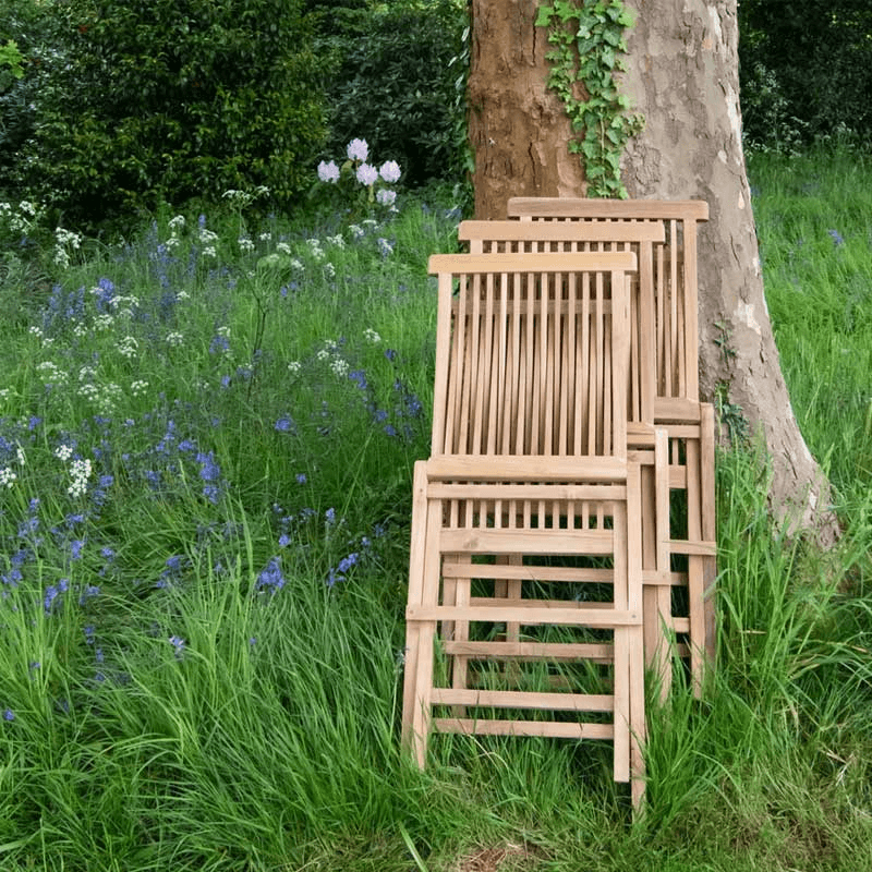 Snapdragon Folding Dining Chair, Teak