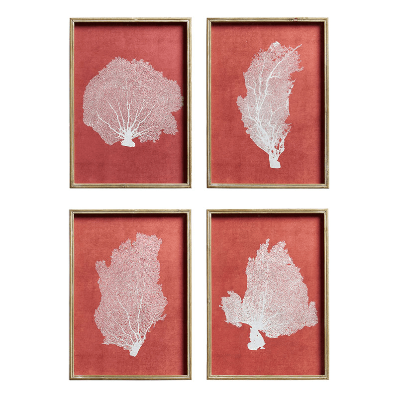 Skeleton Coral Set of 4 Prints, Red / White