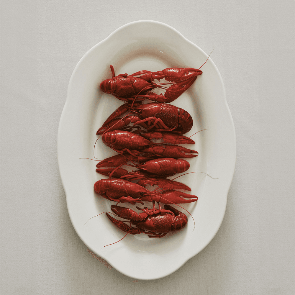 Silhouette by Sergio Herman Set of 2 High Oval Plates
