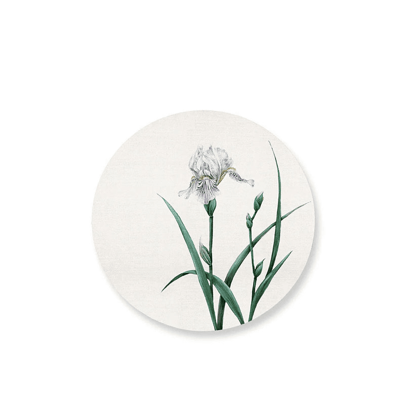 Iris Set of 4 Round Placemats, D34cm, Multi