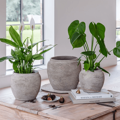 Image showing the Milos Rustic Round Planter, H29cm, Cement product.