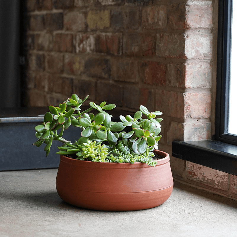 Kew Temperate House Handthrown Statement Bowl, D38cm, Burnt Umber