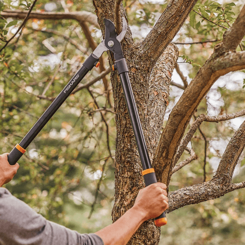 Image showing the Solid Bypass Lopper L11, Black/Orange/Silver product.