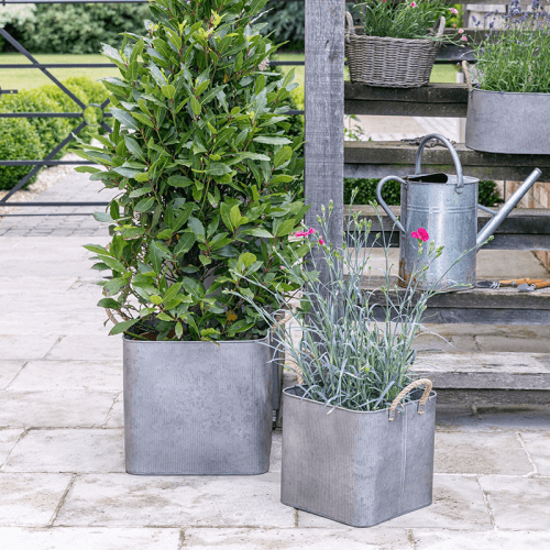 Image showing the Galvanised Set of 2 Rope Handle Square Planters, Grey product.