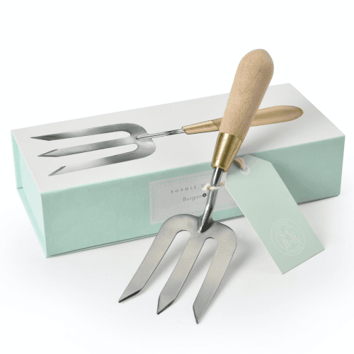 Image showing the Boxed Fork, Stainless Steel product.