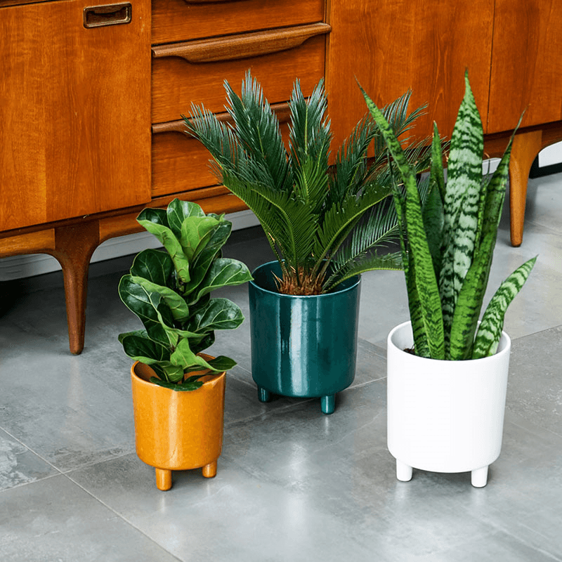 Pisa Planter, H16 x W19 x D19cm, Mustard