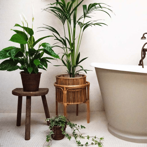Image showing the Tedim Planter Stand, 57 x 43cm, Natural product.