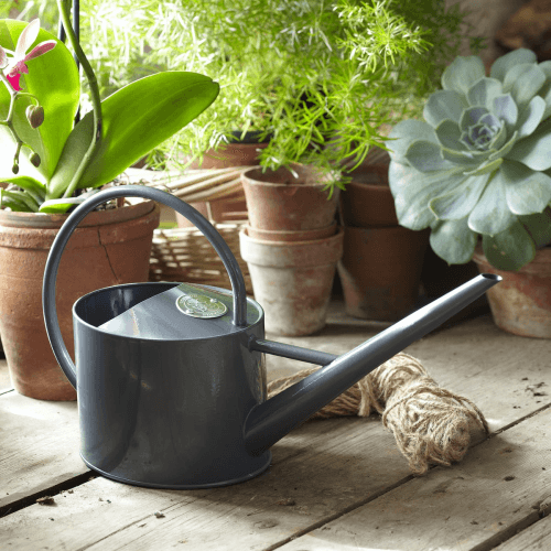 Image showing the Indoor Watering Can, Grey product.