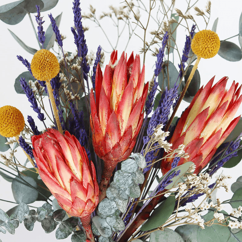 Hand-Tied Medium Bouquet, Colour Pop, Verbena