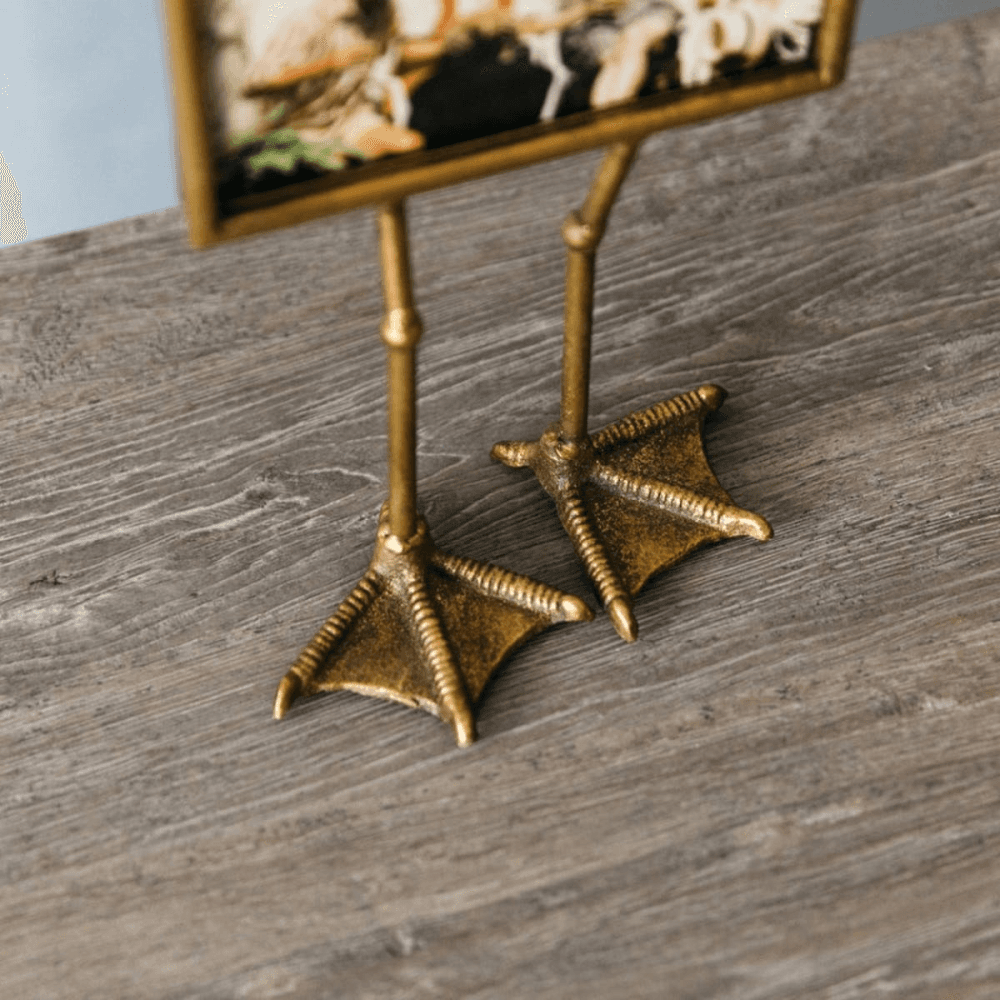 Duck Feet Landscape Frame