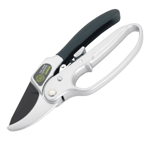 Image showing the Ratchet anvil secateurs, H21 x W8.5cm, Black/Silver product.
