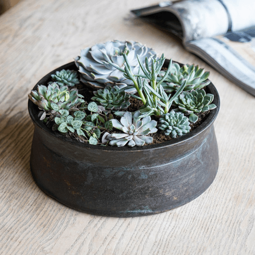 Image showing the Kew Eclectic Orangery Handthrown Statement Bowl, D38cm, Bronze product.