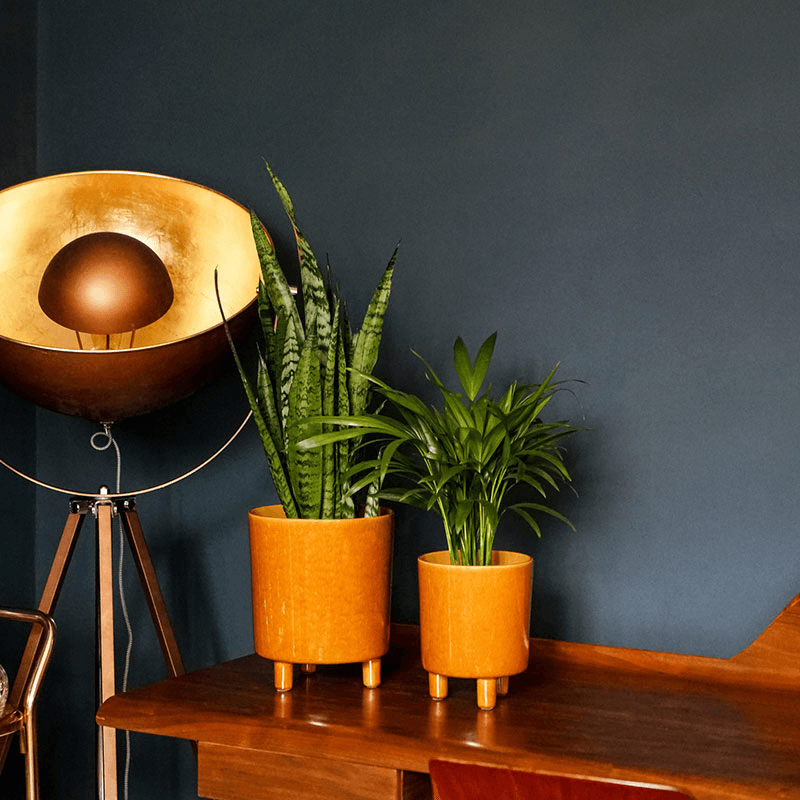 Pisa Planter, H16 x W19 x D19cm, Mustard