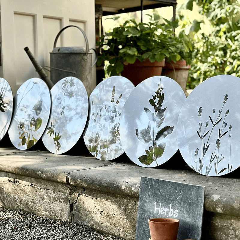 Herbarium Set of 4 Round Placemats, D34cm, Green