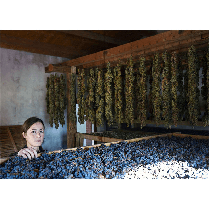 Joe Campanale Vino: The Essential Guide To Real Italian Wine