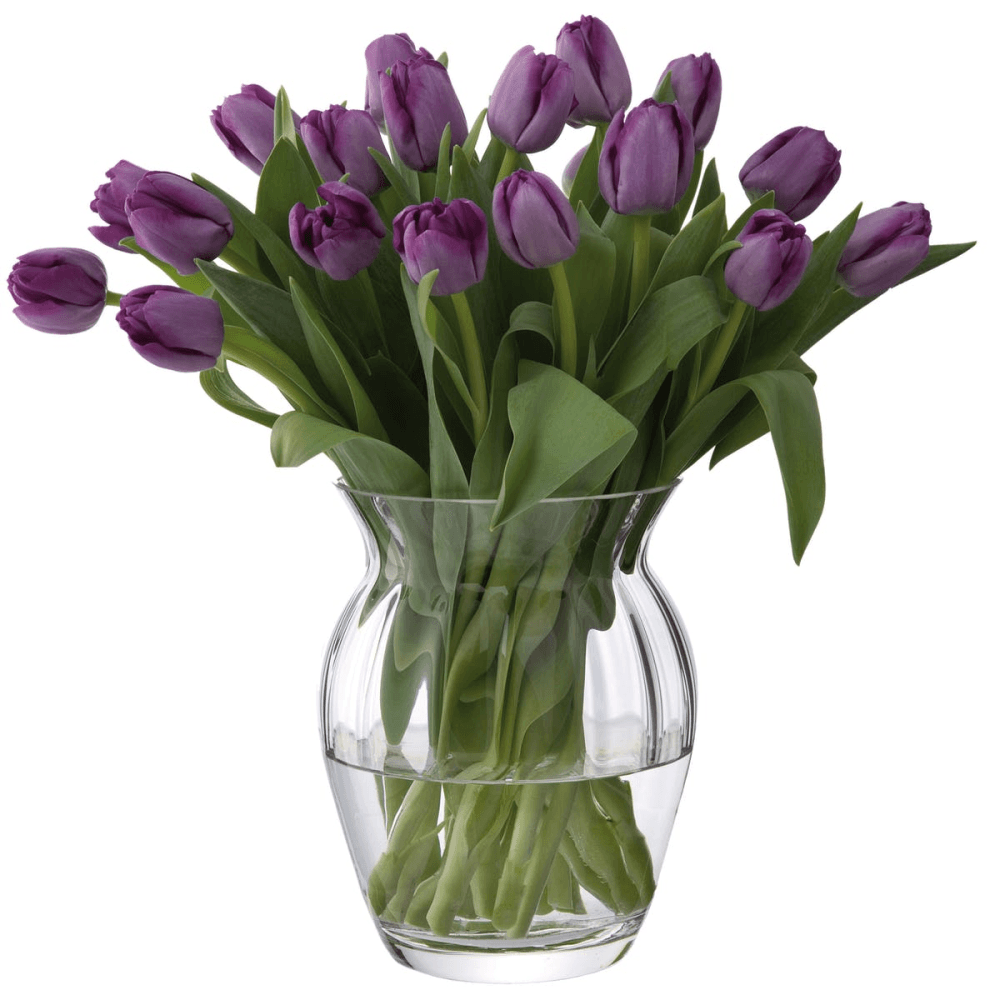 Florabundance Tulip vase, H18.5cm, Clear