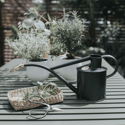 Image showing the The Rowley Ripple Multi Purpose Watering Can, 2 Pint, Graphite product.