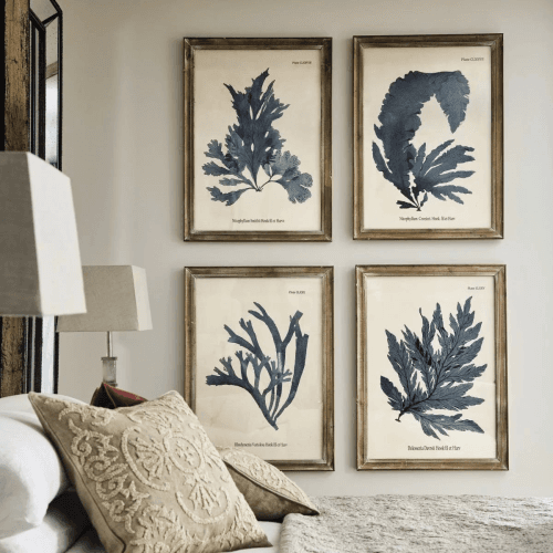 Image showing the Seaweed Set of 4 framed prints, H61 x W83cm product.