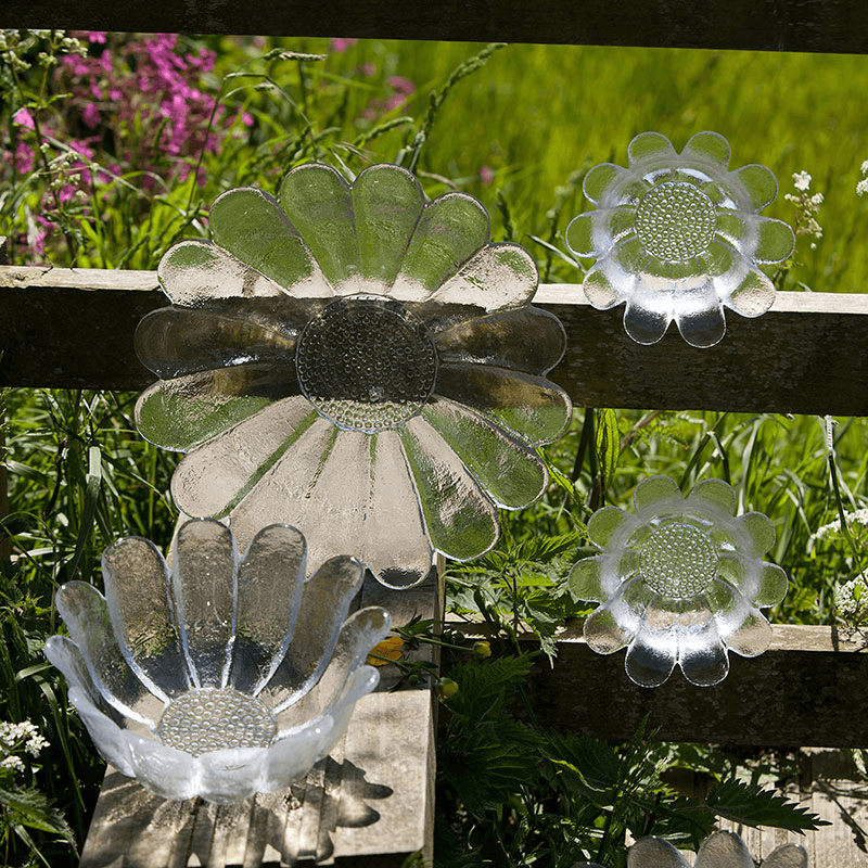 Daisy Bowl, D21.5cm, Clear