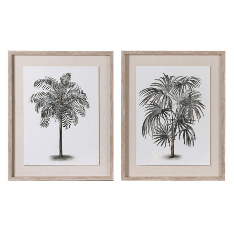 Palm Set of 2 Framed Prints, 52 x 42cm, Green