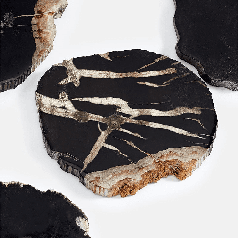 Balfern Set of 4 Petrified Wood Coasters, D12cm, Black