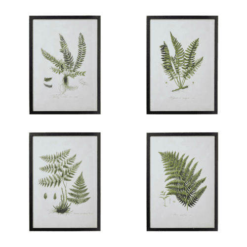 Image showing the Set of 4 fern framed prints, W54 x H74cm product.
