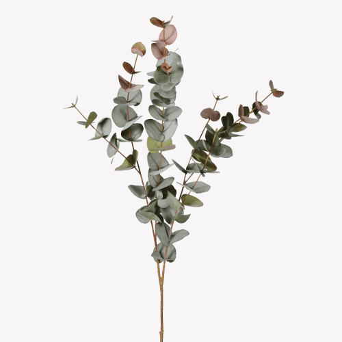 Image showing the Large natural blush eucalyptus, 100cm product.