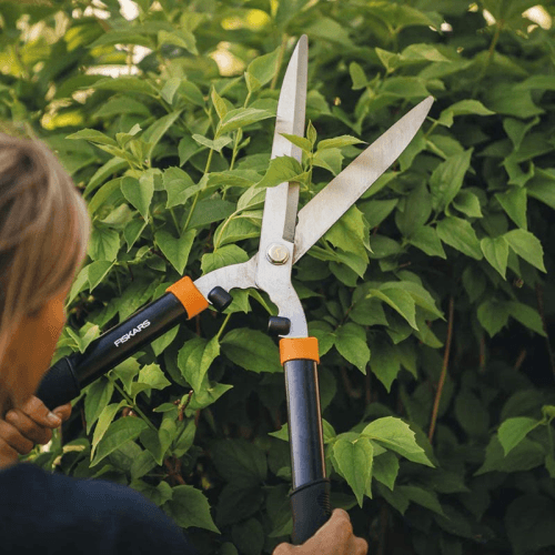 Image showing the Solid Hedge Shear HS21, Black/Orange/Silver product.