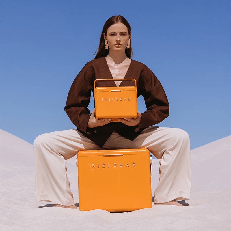 Mini Bar and Swing Sling