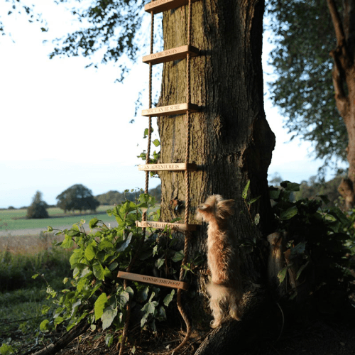Image showing the Personalised Rope Ladder, Oak product.